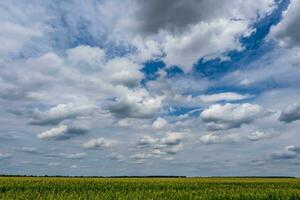 blauw lucht achtergrond met wit gestreept wolken in hemel en oneindigheid mei gebruik voor lucht vervanging foto