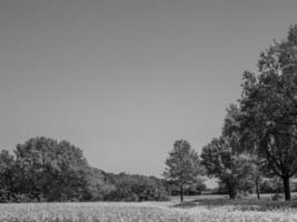 zomer tijd in Westfalen foto