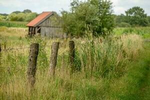 laat zomer in Westfalen foto