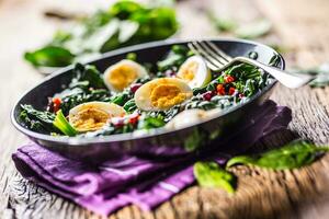 spinazie salade. vers spinazie salade met eieren Chili peper en zoet veenbessen. foto