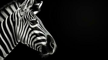 zwart en wit foto van een zebra hoofd Aan een zwart achtergrond geïsoleerd kant visie. silhouet concept