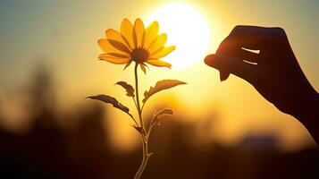 vrouw s hand- Holding een bloem in zonneschijn schets. silhouet concept foto