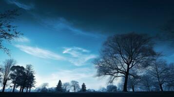 park met bomen onder een blauw lucht. silhouet concept foto