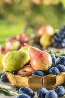 rijp fruit Aan de tafel in de tuin. vers peren in een bronzen kom omringd door een verscheidenheid van tuin fruit foto