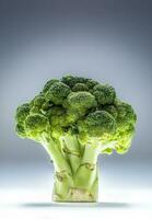 vers broccoli gelegd verticaal Aan een abstract blauw achtergrond foto