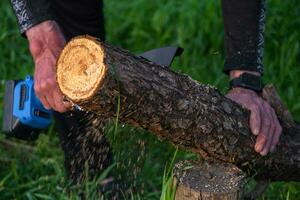 in de hand gehouden portable camping elektrisch zag Aan een accu voor snijdend brandhout en hout. detailopname, een hand- zagen een log, splinters vliegend foto