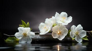 boeket van wit magnolia bloemen met brandend kaars Aan zwart achtergrond ai gegenereerd foto