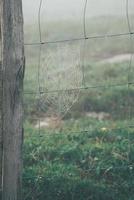 spinnenweb op de prikkeldraadomheining in de natuur foto