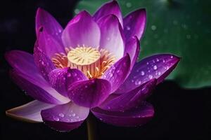 bloeiend Purper lotus bloesem en water Kristallen in de lucht net zo bloemen achtergrond of groet kaart generatief ai foto