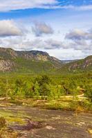 panorama met sparren en bergen natuur landschap nissedal noorwegen.