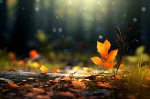 visie van herfst seizoen blad en fabriek foto