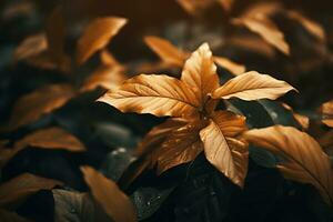 dichtbij omhoog van mooi herfst bladeren met water druppels. natuurlijk achtergrond ai gegenereerd foto