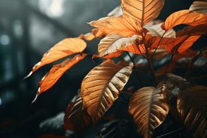 dichtbij omhoog van mooi herfst bladeren met water druppels. natuurlijk achtergrond ai gegenereerd foto