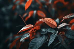 dichtbij omhoog van mooi herfst bladeren met water druppels. natuurlijk achtergrond ai gegenereerd foto