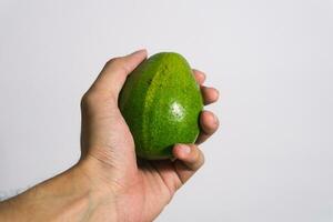 avocado fruit persea americana vers groen geïsoleerd Aan wit grijp door hand. wit isoleren achtergrond foto