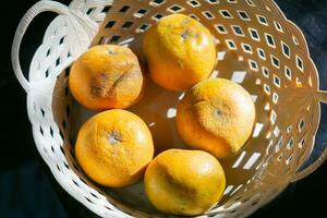 vers en rijp sunkist sinaasappels vruchten. geserveerd in rotan mand. foto