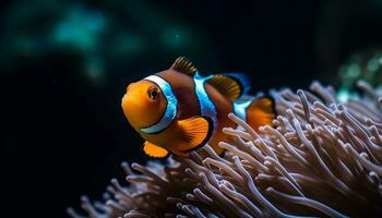 clown vis zwemmen in levendig blauw rif, onderwater- schoonheid gevangen genomen gegenereerd door ai foto