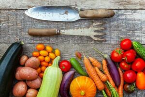 assortiment verschillende verse biologische groenten en tuingereedschap op houten achtergrond in landelijke stijl. gezond eten veganistisch vegetarisch eten dieet concept. lokale tuin produceert schoon voedsel. foto