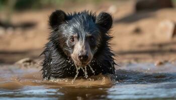 schattig puppy spelen in water, nat vacht, op zoek Bij camera gegenereerd door ai foto