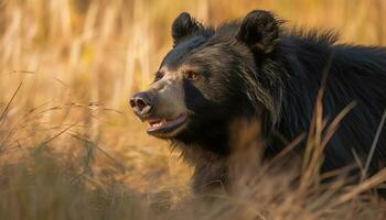 schattig Duitse herder puppy zittend in gras, op zoek Bij camera gegenereerd door ai foto