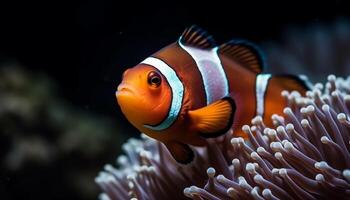 clown vis zwemmen in levendig rif, presentatie van natuur onderwater- schoonheid gegenereerd door ai foto