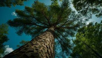 boom Afdeling bereikt naar de blauw lucht in rustig Woud gegenereerd door ai foto