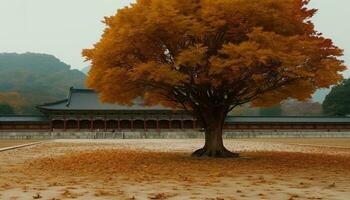 herfst boom blad, geel seizoen buitenshuis, oude Beijing landschap gegenereerd door ai foto