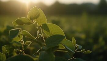 vers groen bladeren Aan een boom Afdeling in de zomer gegenereerd door ai foto