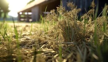 groen gras groeit in de weide, rijp voor oogsten gegenereerd door ai foto