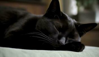 schattig katje slapen Aan een zacht kussen, op zoek comfortabel en ontspannen gegenereerd door ai foto