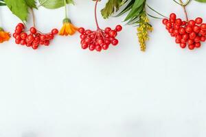 herfst bloemen samenstelling. kader gemaakt van herfst planten viburnum bessen oranje bloemen geïsoleerd Aan wit achtergrond. herfst vallen natuurlijk planten ecologie behang concept. vlak leggen top visie, kopiëren ruimte foto