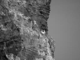 Helgoland-eiland in Duitsland foto