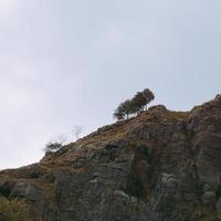 bomen in het berglandschap van de natuur in bilbao, spanje foto