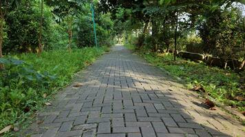 leeg voetganger straat Aan de rand van stad- foto