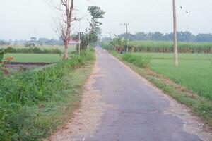 landelijk weg in de platteland van Thailand. land weg in de platteland foto