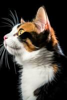 portret van een calico kat Aan een zwart achtergrond generatief ai foto