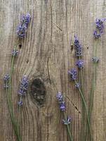 lavendel op een oude houten ondergrond