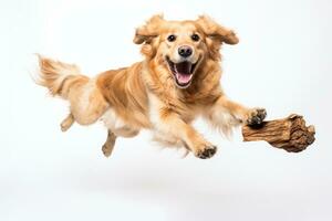 gouden retriever hond jumping in de lucht met een speelgoed- in haar mond generatief ai foto