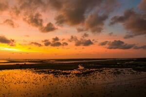 mooi lucht Bij zonsondergang over- mobiel baai, Alabama foto