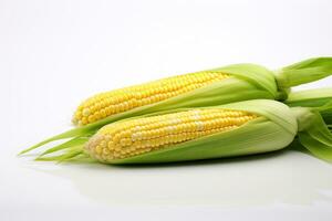 beeld van geschild maïs Aan duidelijk pagina foto