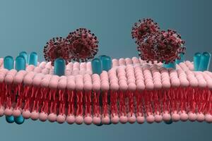 cel membraan en coronavirus, medisch concept, 3d weergave. foto