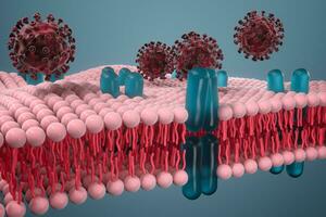 cel membraan en coronavirus, medisch concept, 3d weergave. foto