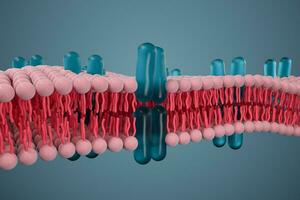 cel membraan en biologie, biologisch concept, 3d weergave. foto