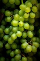 realistisch foto van een bundel van groen druiven. top visie fruit landschap. ai gegenereerd