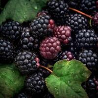 realistisch foto van een bundel van bramen. top visie fruit landschap. ai gegenereerd