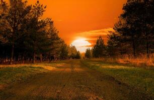 tropisch zee zonsondergang boom lucht visie achtergrond foto