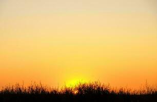 tropisch zee zonsondergang boom lucht visie achtergrond foto