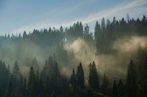 mist. ochtend- mist in de hooglanden. mooi dramatisch hooglanden landschap. foto