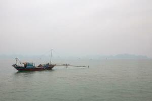 Vietnamees visvangst boot foto