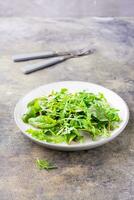 een mengsel van vers rucola, snijbiet en mizun bladeren Aan een bord en vorken Aan de tafel. vegetarisme, gezond aan het eten. verticaal visie foto